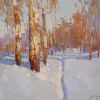 Snow Covered