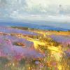 Field of Lavenders