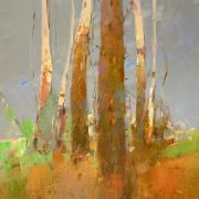 Birches Trees