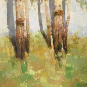 Birches Trees