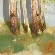 Birches Trees