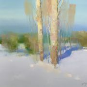 Birches at Winter