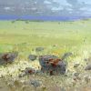 Summer Field
