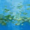 Lilies Pond