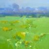 Summer Field