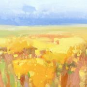 Yellow Field