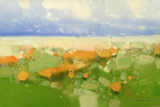 Field of Flowers