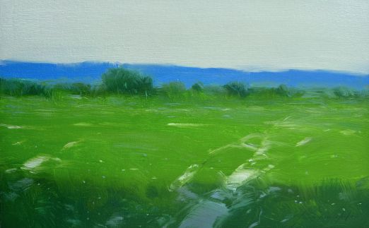 Summer Field