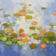 Lilies Pond