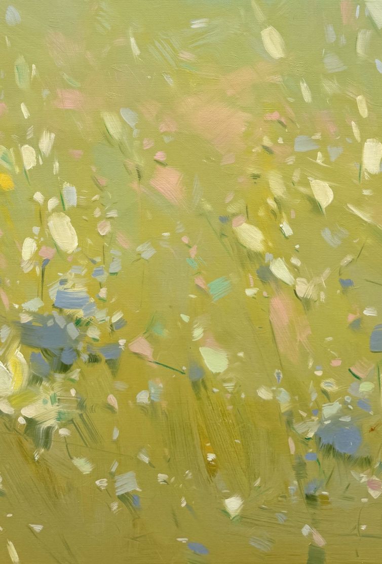 Splash of Morning