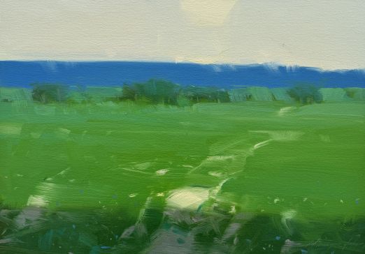 Summer Path