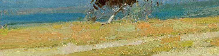 Windy Day
