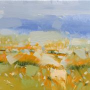 Field