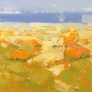 Yellow Poppies