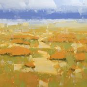 Poppies