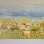 Field