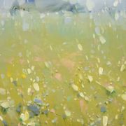 Splash of Morning