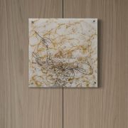 Signature in Gold 4