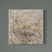 Signature in Gold 4