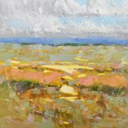 Field of Yellow Flowers